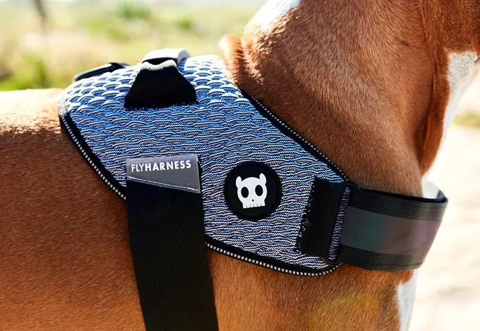 Zee.Dog Urban FlyHarness